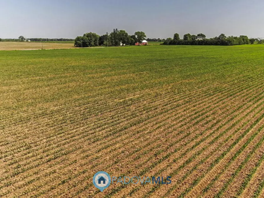 Immagine 2 di Terreno in vendita  in Quartiere della Fornace a Conselve