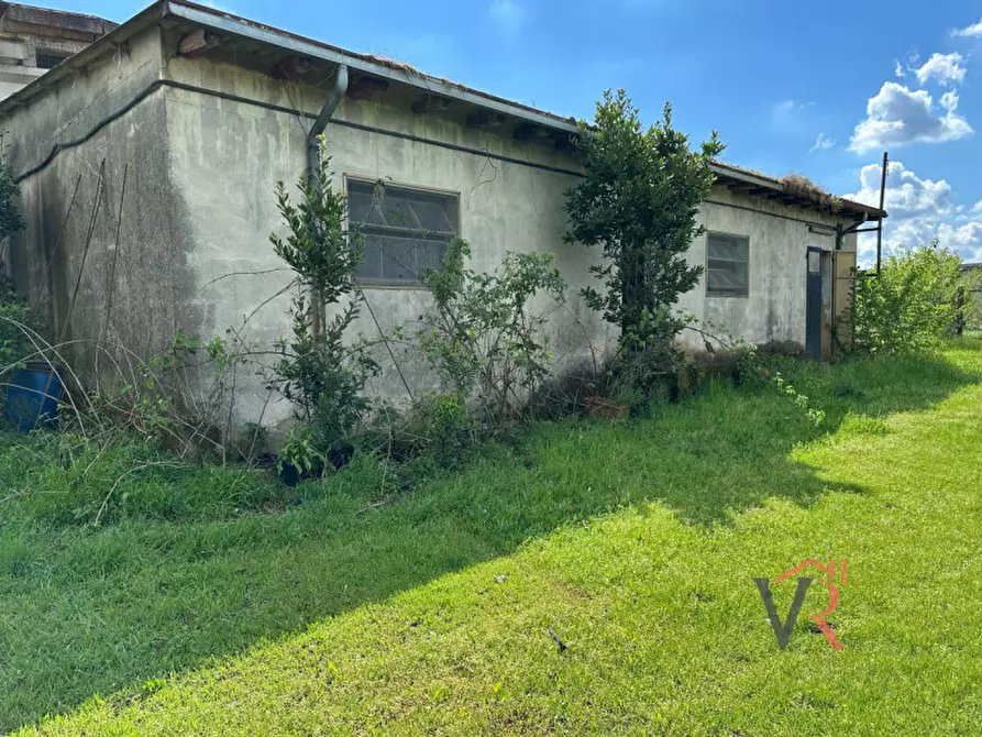 Immagine 1 di Capannone industriale in vendita  a Dello