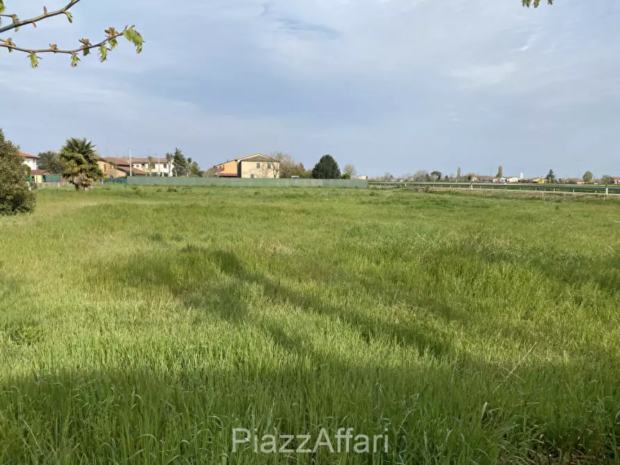 Immagine 12 di Rustico / casale in vendita  in via Roma Arzergrande a Arzergrande