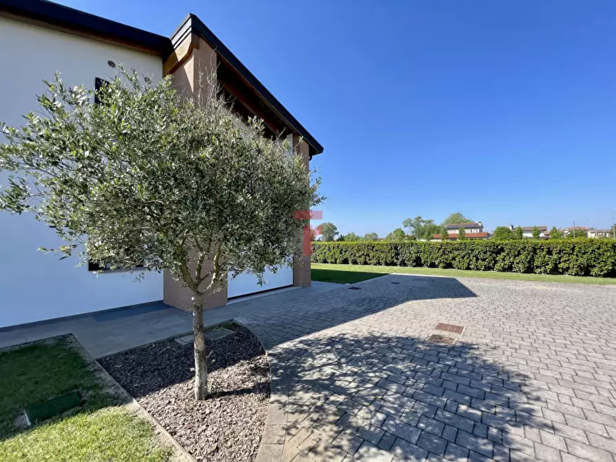 Immagine 44 di Casa bifamiliare in vendita  a Saonara