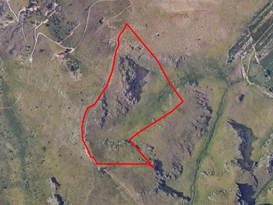 Immagine 1 di Terreno in vendita  in Località Ciaculli, N. snc a Palermo