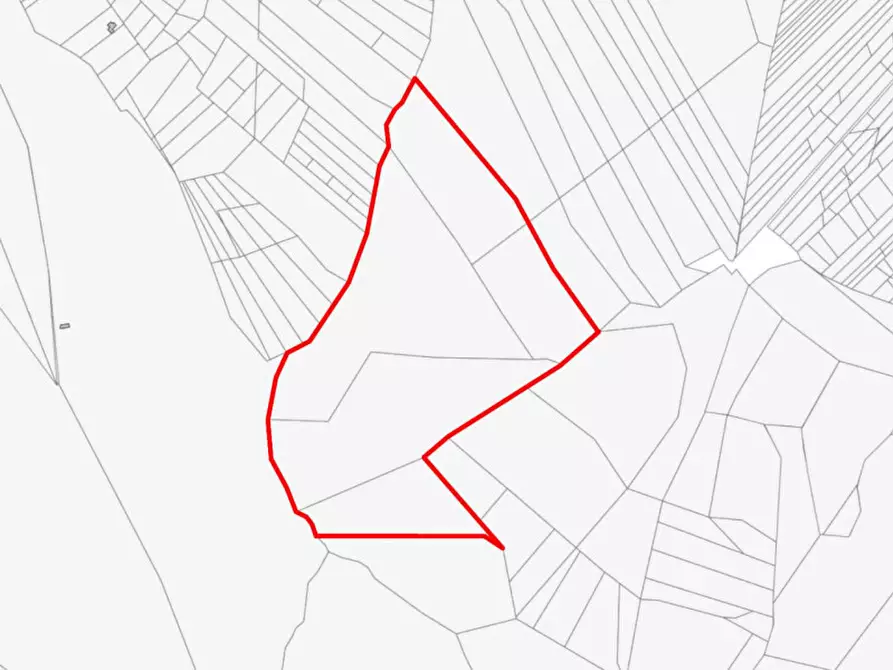 Immagine 2 di Terreno in vendita  in Località Ciaculli, N. snc a Palermo