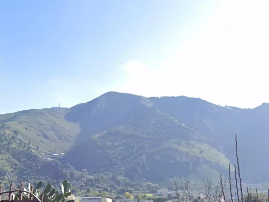 Immagine 4 di Terreno in vendita  in Località Ciaculli, N. snc a Palermo
