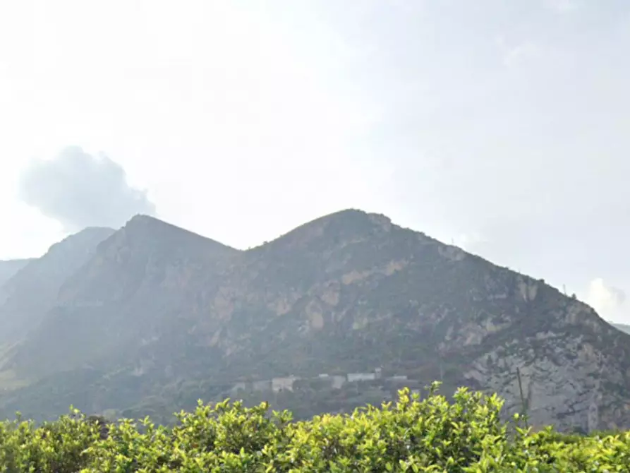 Immagine 5 di Terreno in vendita  in Località Ciaculli, N. snc a Palermo