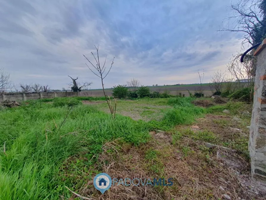 Immagine 8 di Casa bifamiliare in vendita  in Via Valchiesa a Pozzonovo