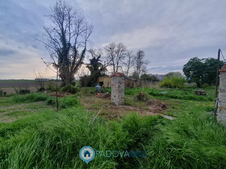Immagine 9 di Casa bifamiliare in vendita  in Via Valchiesa a Pozzonovo