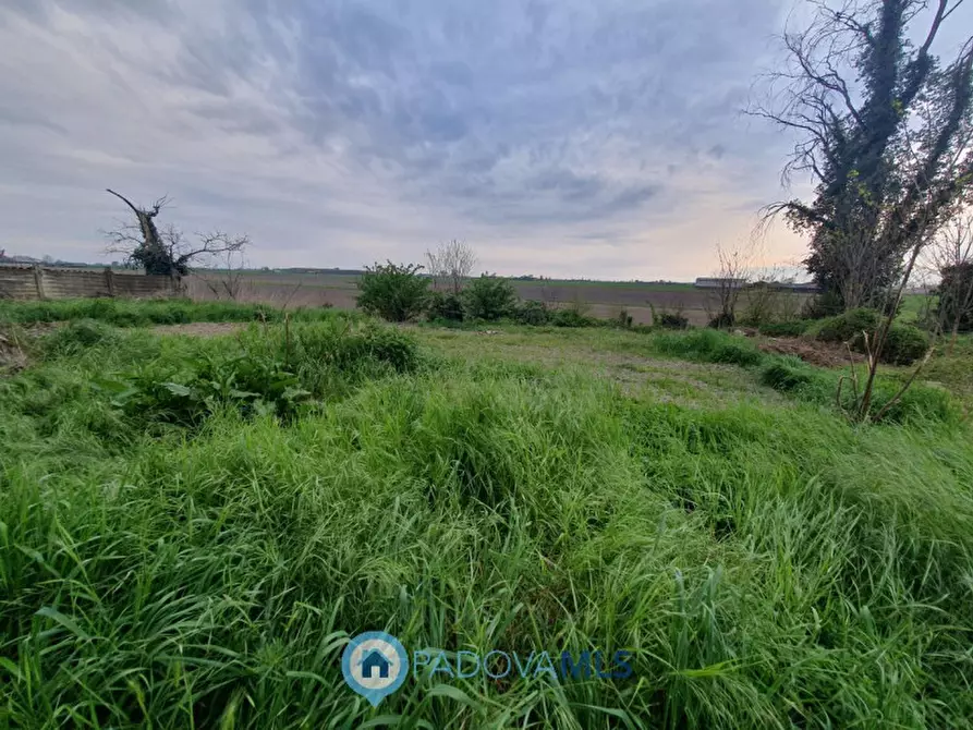 Immagine 10 di Casa bifamiliare in vendita  in Via Valchiesa a Pozzonovo
