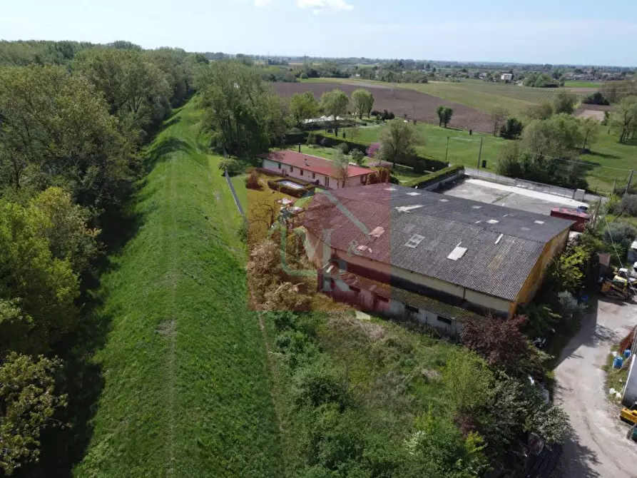 Immagine 6 di Capannone industriale in vendita  in Via Brancolo 9 a Fiumicello Villa Vicentina