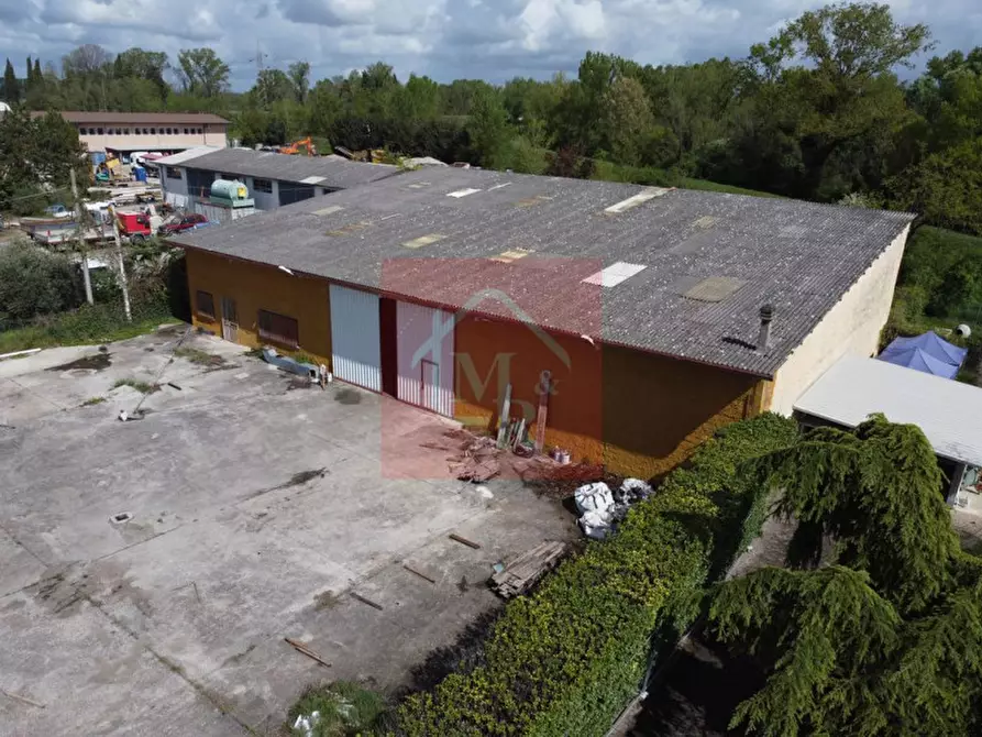 Immagine 7 di Capannone industriale in vendita  in Via Brancolo 9 a Fiumicello Villa Vicentina