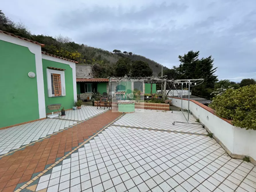 Immagine 4 di Villa in vendita  in via cretaio 3 a Barano D'ischia
