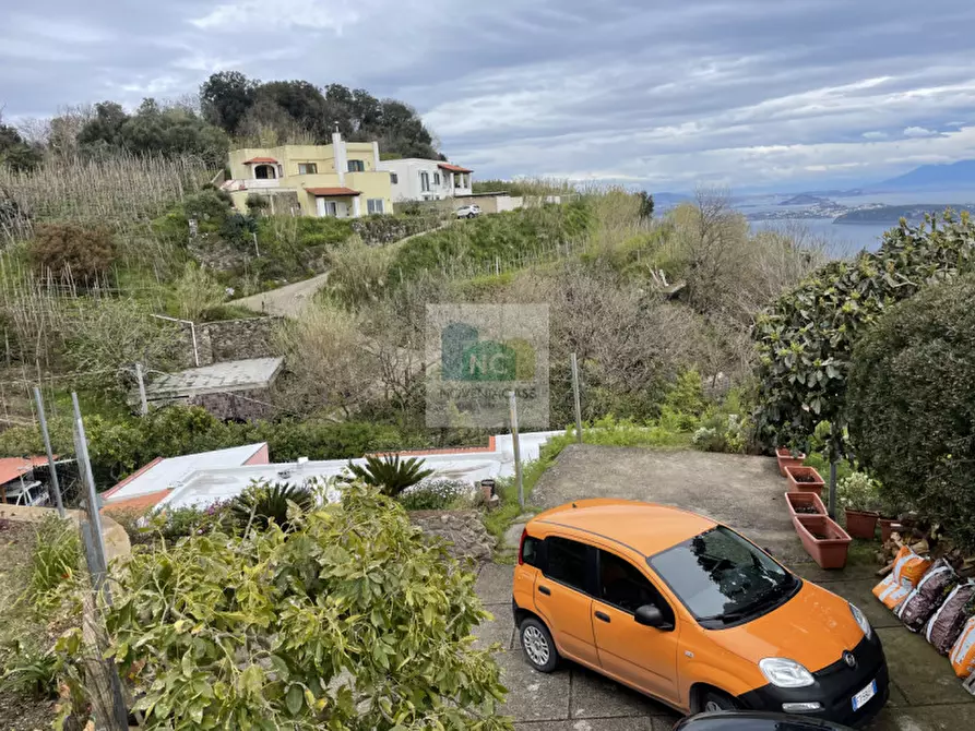 Immagine 26 di Villa in vendita  in via cretaio 3 a Barano D'ischia