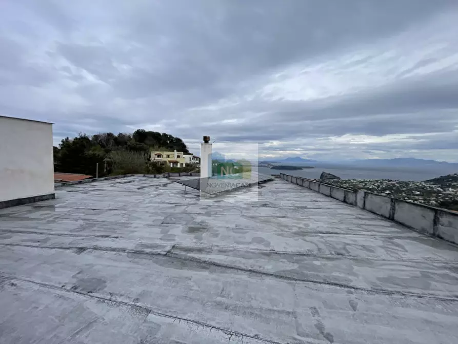 Immagine 28 di Villa in vendita  in via cretaio 3 a Barano D'ischia