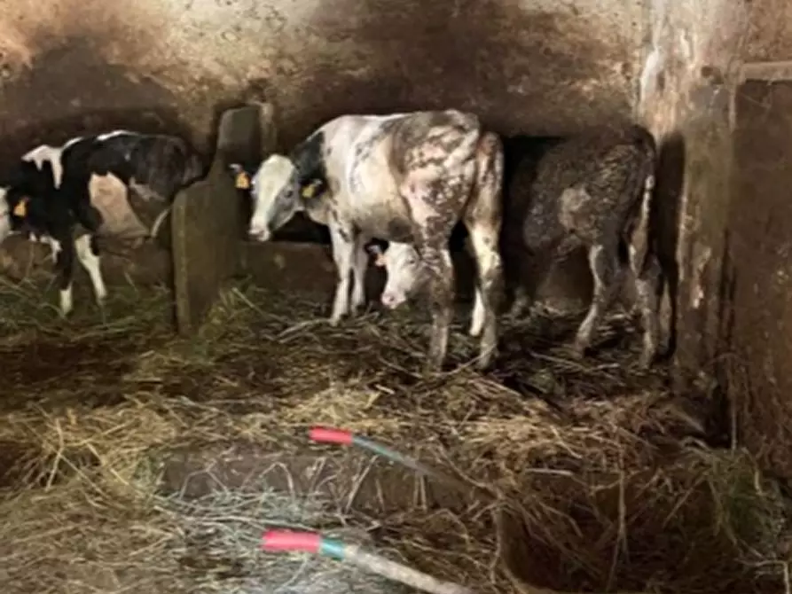 Immagine 24 di Casa indipendente in vendita  in VIA VOLTO 3 a Borgo Mantovano