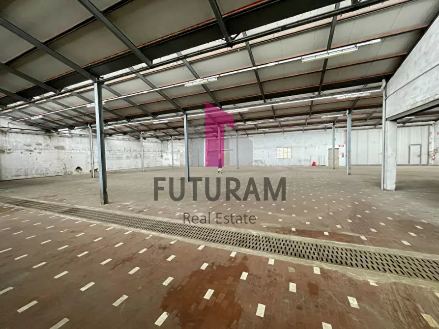 Immagine 5 di Capannone industriale in affitto  a Bovolenta