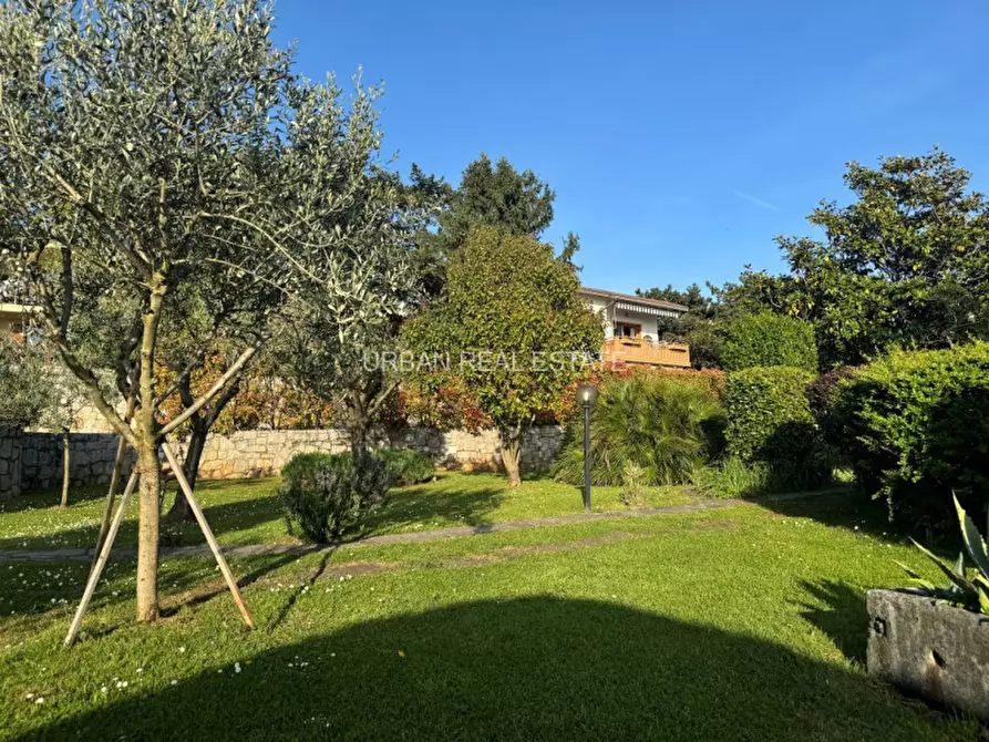 Immagine 39 di Villa in vendita  in Contovello 607 a Trieste