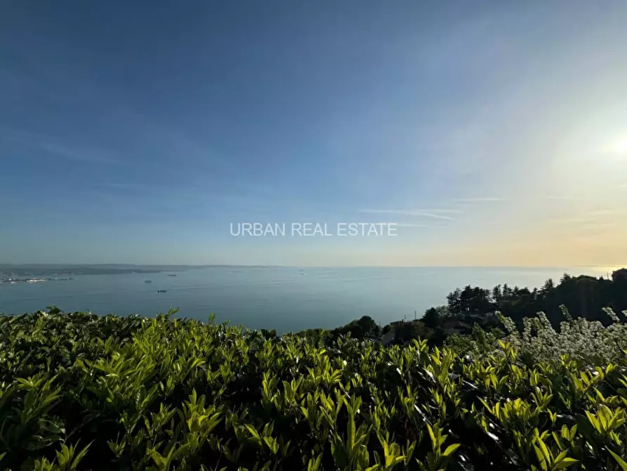 Immagine 48 di Villa in vendita  in Contovello 607 a Trieste