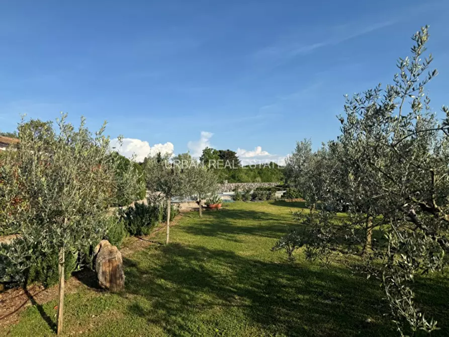 Immagine 56 di Villa in vendita  in Contovello 607 a Trieste