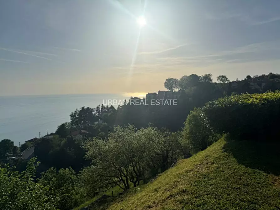 Immagine 58 di Villa in vendita  in Contovello 607 a Trieste