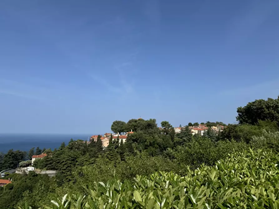 Immagine 65 di Villa in vendita  in Contovello 607 a Trieste