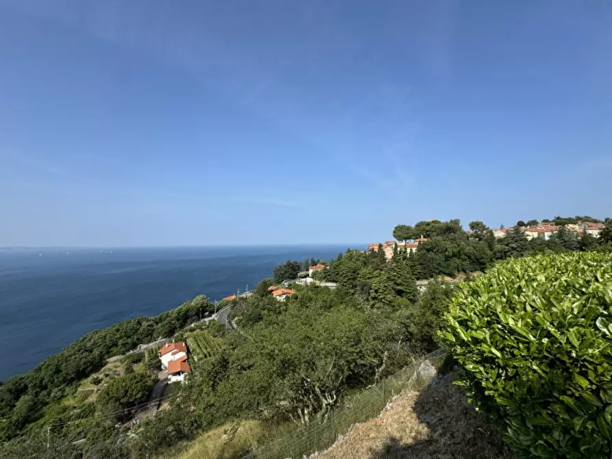 Immagine 66 di Villa in vendita  in Contovello 607 a Trieste