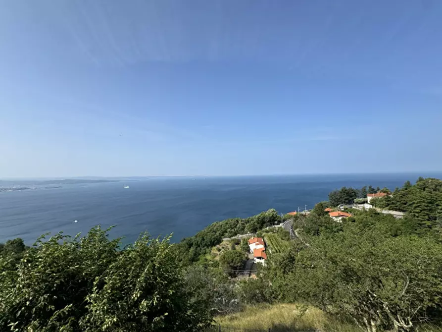 Immagine 67 di Villa in vendita  in Contovello 607 a Trieste