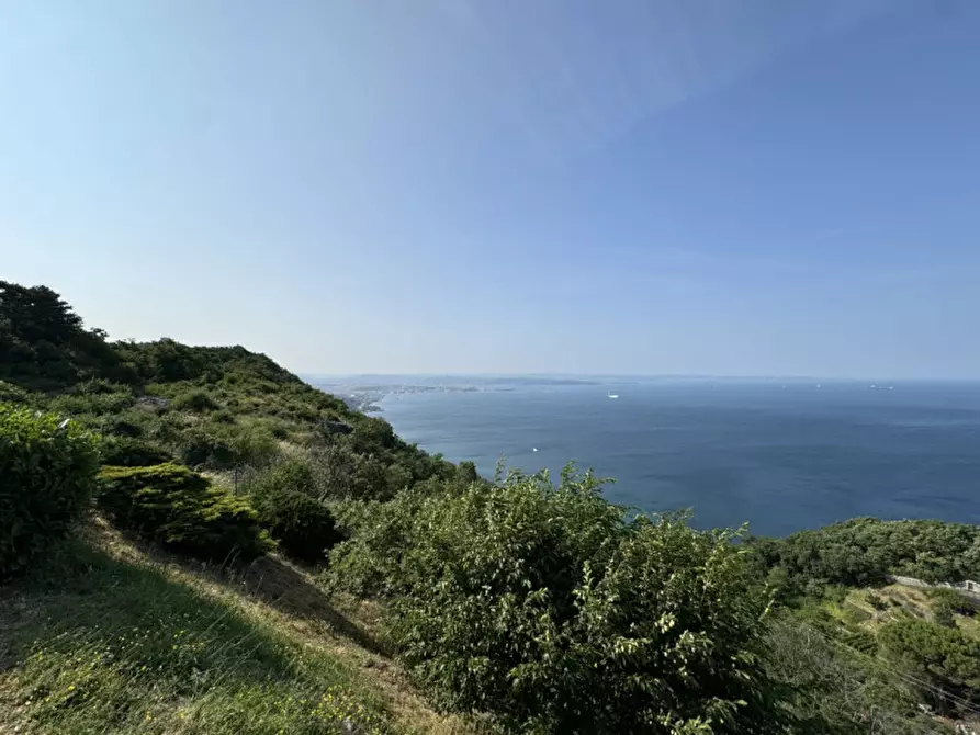 Immagine 68 di Villa in vendita  in Contovello 607 a Trieste