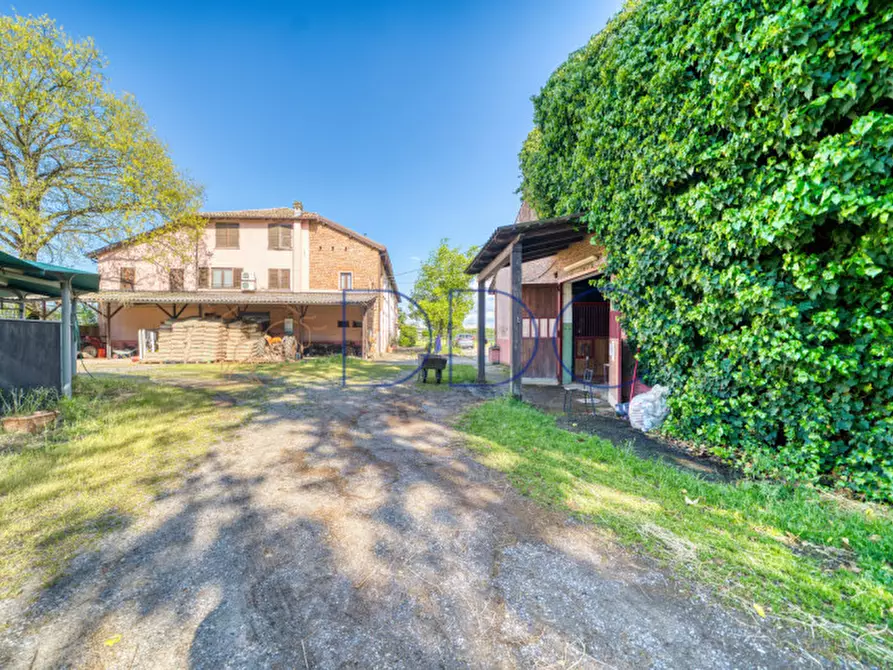 Immagine 19 di Agriturismo in vendita  in Strada San Cipriano 43 a Broni