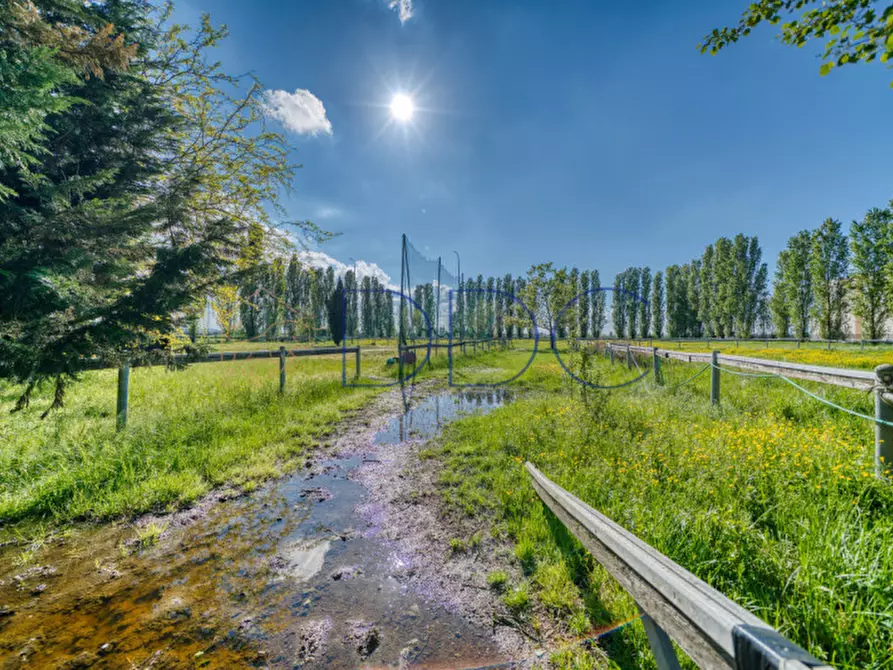 Immagine 21 di Agriturismo in vendita  in Strada San Cipriano 43 a Broni