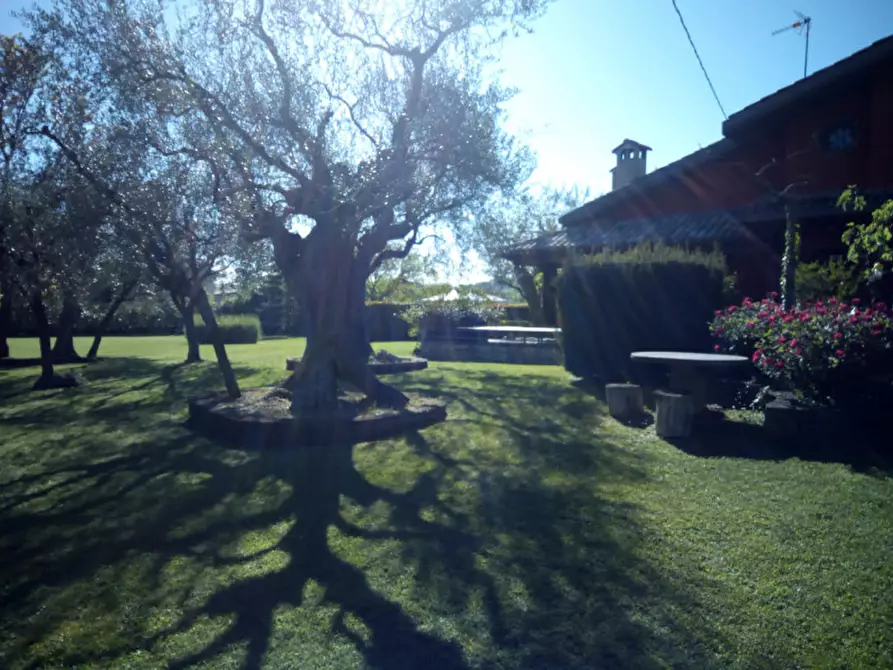 Immagine 6 di Villa in vendita  a Fano