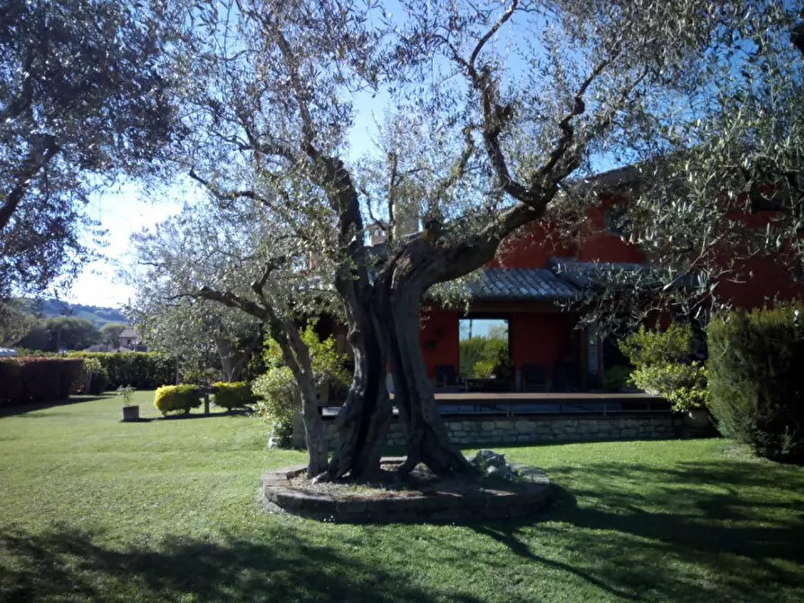 Immagine 7 di Villa in vendita  a Fano