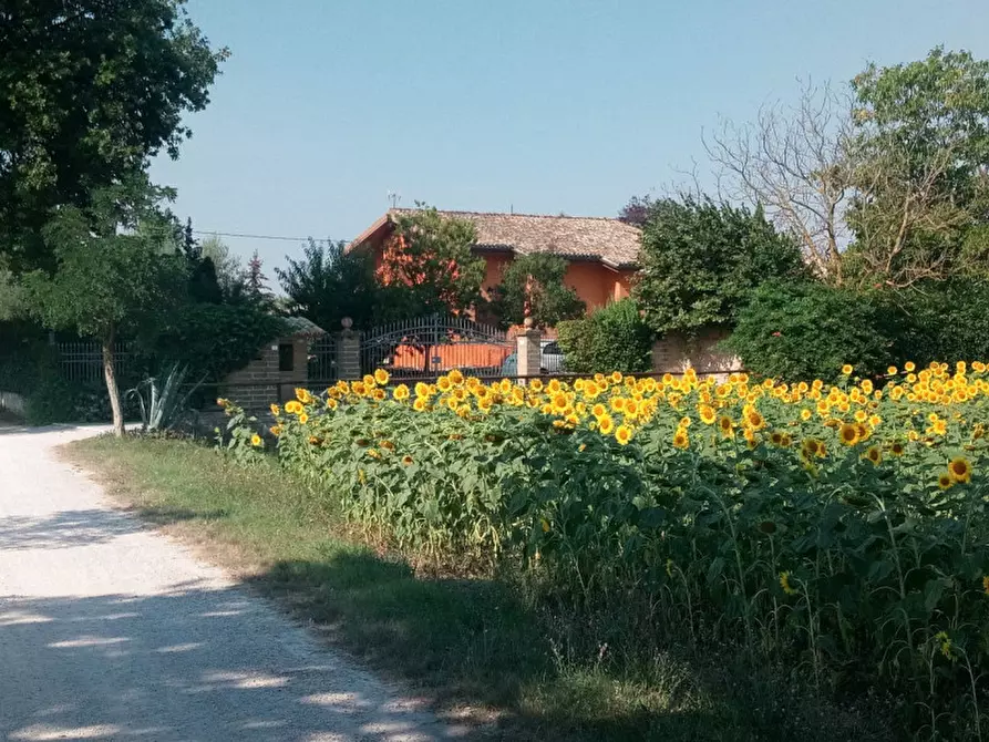 Immagine 8 di Villa in vendita  a Fano