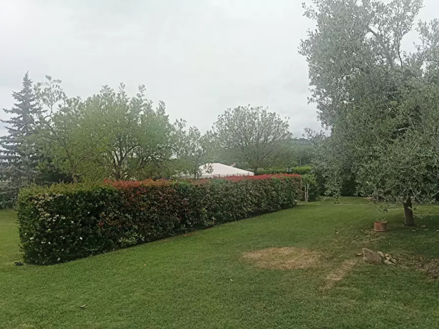 Immagine 10 di Villa in vendita  a Fano