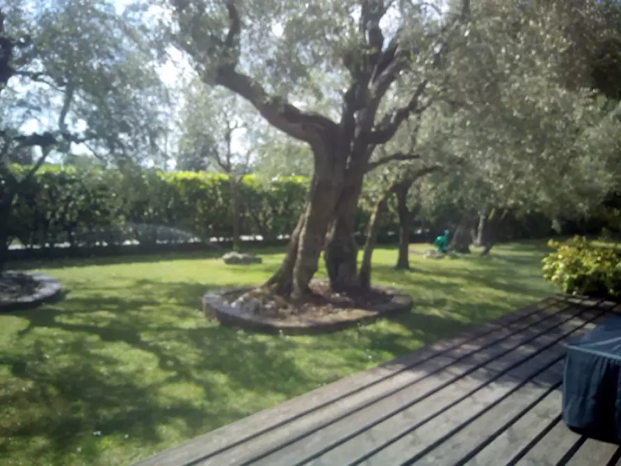 Immagine 12 di Villa in vendita  a Fano