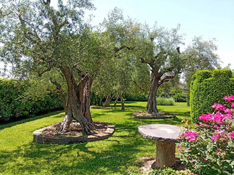 Immagine 38 di Villa in vendita  a Fano