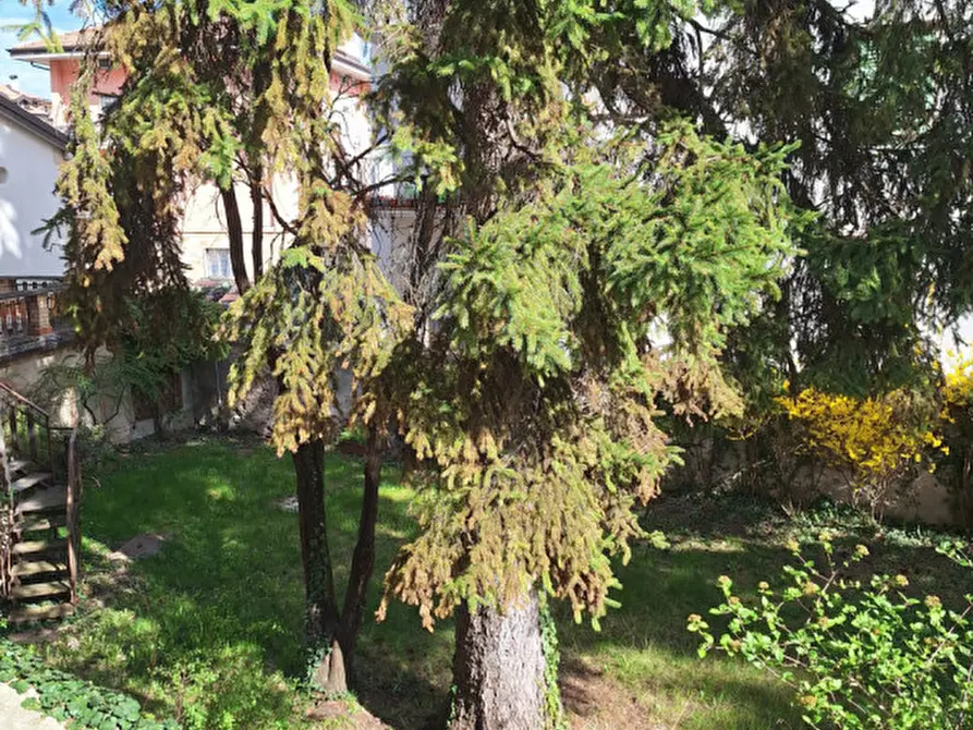 Immagine 6 di Appartamento in vendita  in Via Carlo Antonio Pilati a Cles