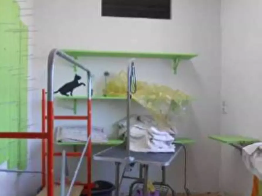 Immagine 33 di Palazzo in vendita  in VIA SAN VITO MARTIRE 10 a Cerea