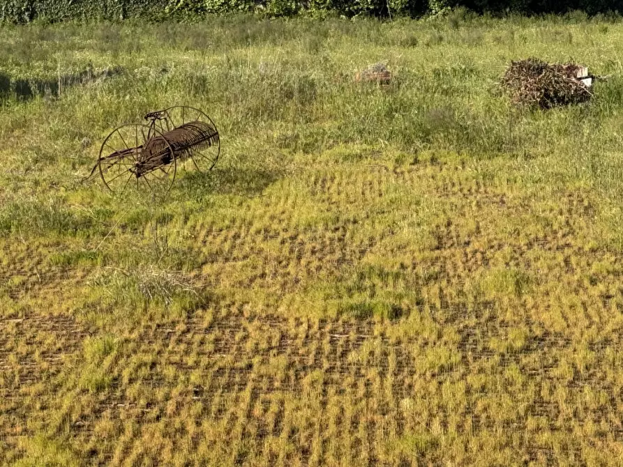 Immagine 22 di Casa indipendente in vendita  in Via Contarina a Giacciano Con Baruchella