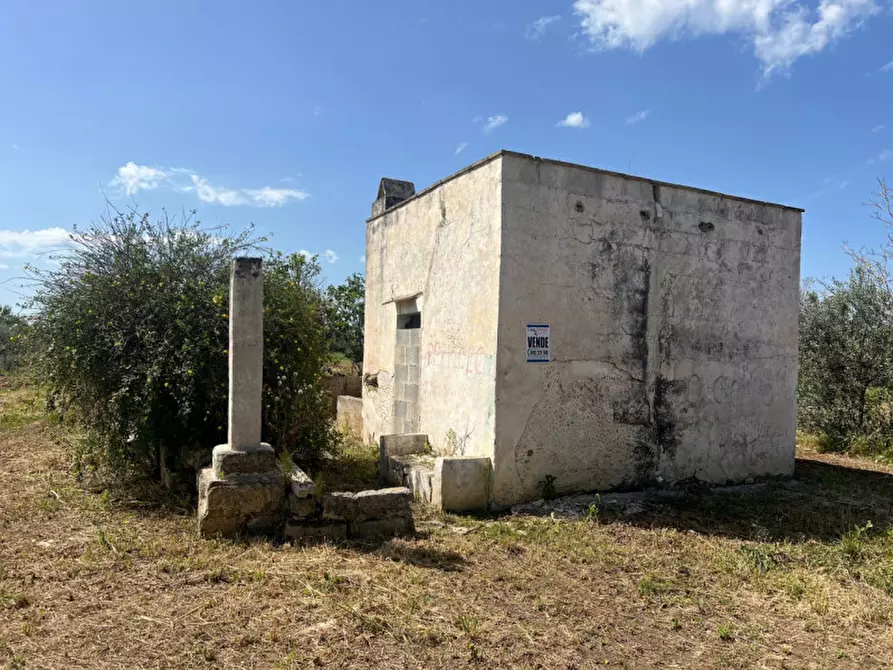 Immagine 1 di Terreno in vendita  in Strada Vicinale Bon Amì a Matino