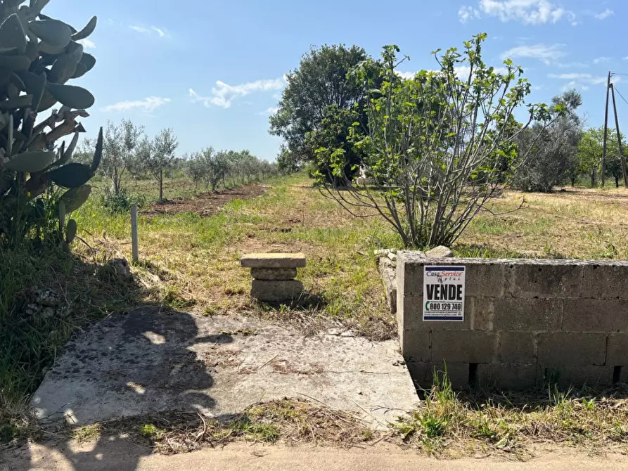 Immagine 2 di Terreno in vendita  in Strada Vicinale Bon Amì a Matino