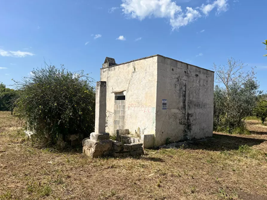 Immagine 9 di Terreno in vendita  in Strada Vicinale Bon Amì a Matino