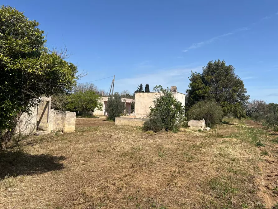 Immagine 10 di Terreno in vendita  in Strada Vicinale Bon Amì a Matino
