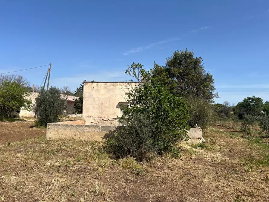 Immagine 11 di Terreno in vendita  in Strada Vicinale Bon Amì a Matino