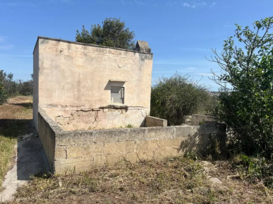 Immagine 12 di Terreno in vendita  in Strada Vicinale Bon Amì a Matino