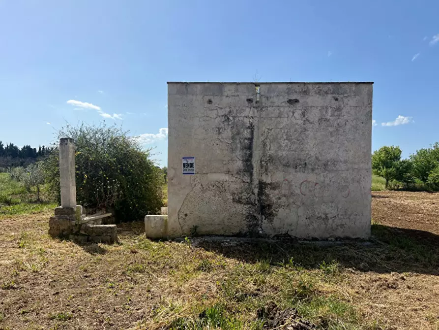 Immagine 14 di Terreno in vendita  in Strada Vicinale Bon Amì a Matino