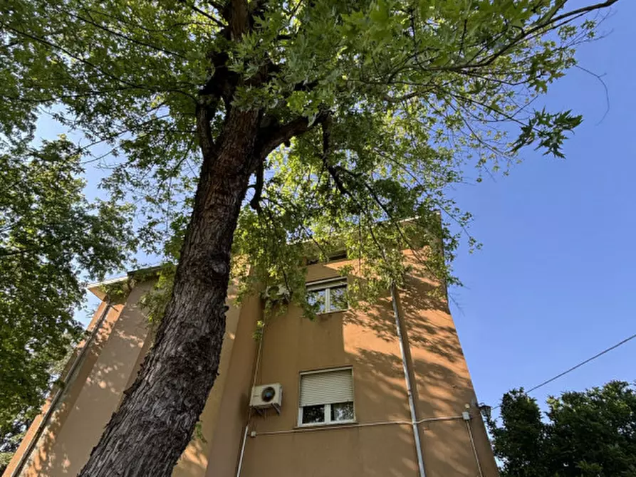 Immagine 2 di Casa trifamiliare in vendita  in Via Nazionale, 19 a Sissa Trecasali