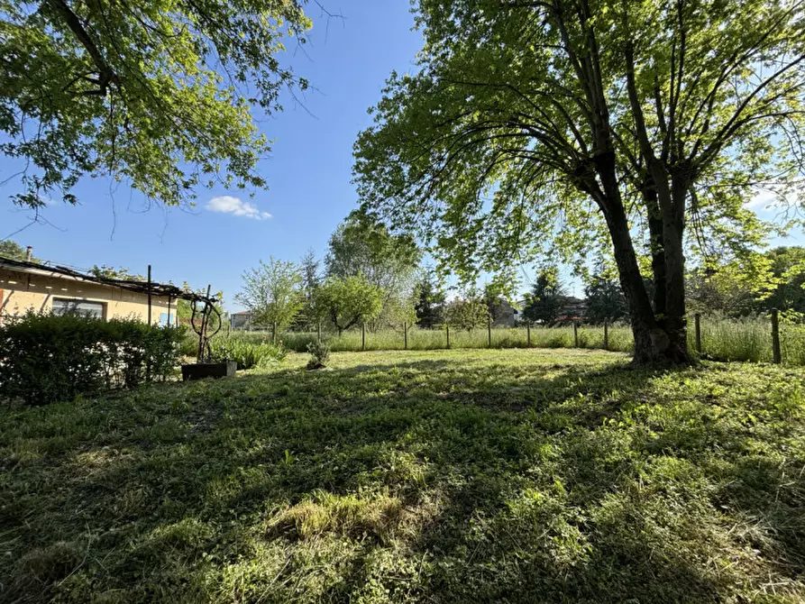 Immagine 5 di Casa trifamiliare in vendita  in Via Nazionale, 19 a Sissa Trecasali