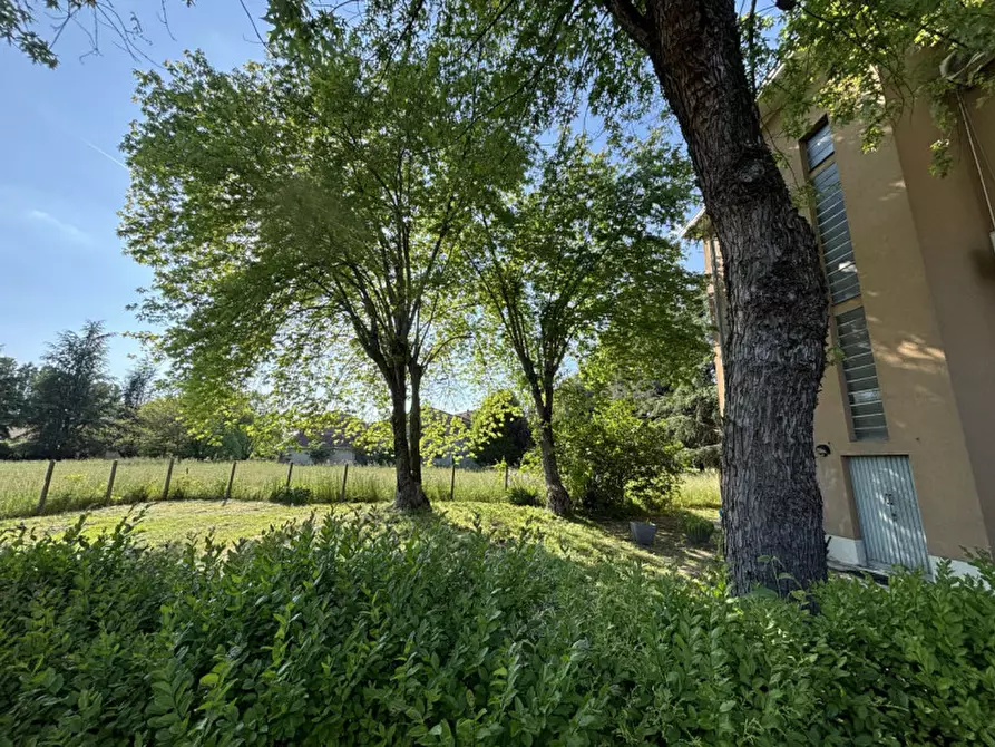 Immagine 6 di Casa trifamiliare in vendita  in Via Nazionale, 19 a Sissa Trecasali