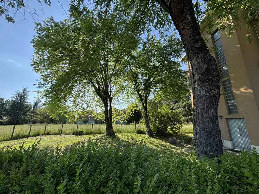 Immagine 9 di Casa trifamiliare in vendita  in Via Nazionale, 19 a Sissa Trecasali