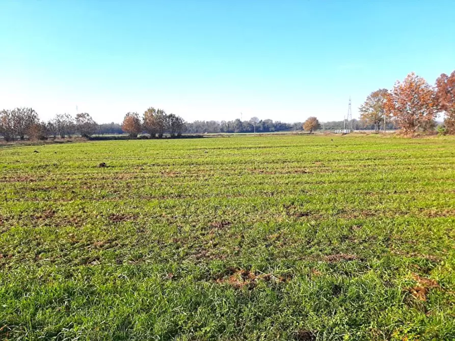 Immagine 11 di Villa in vendita  a Valeggio Sul Mincio