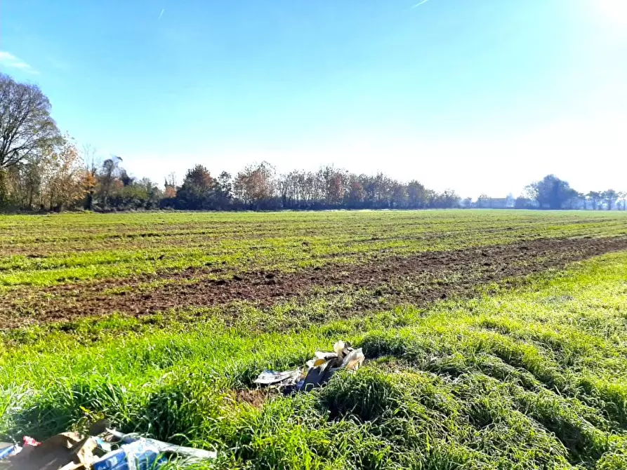 Immagine 14 di Villa in vendita  a Valeggio Sul Mincio